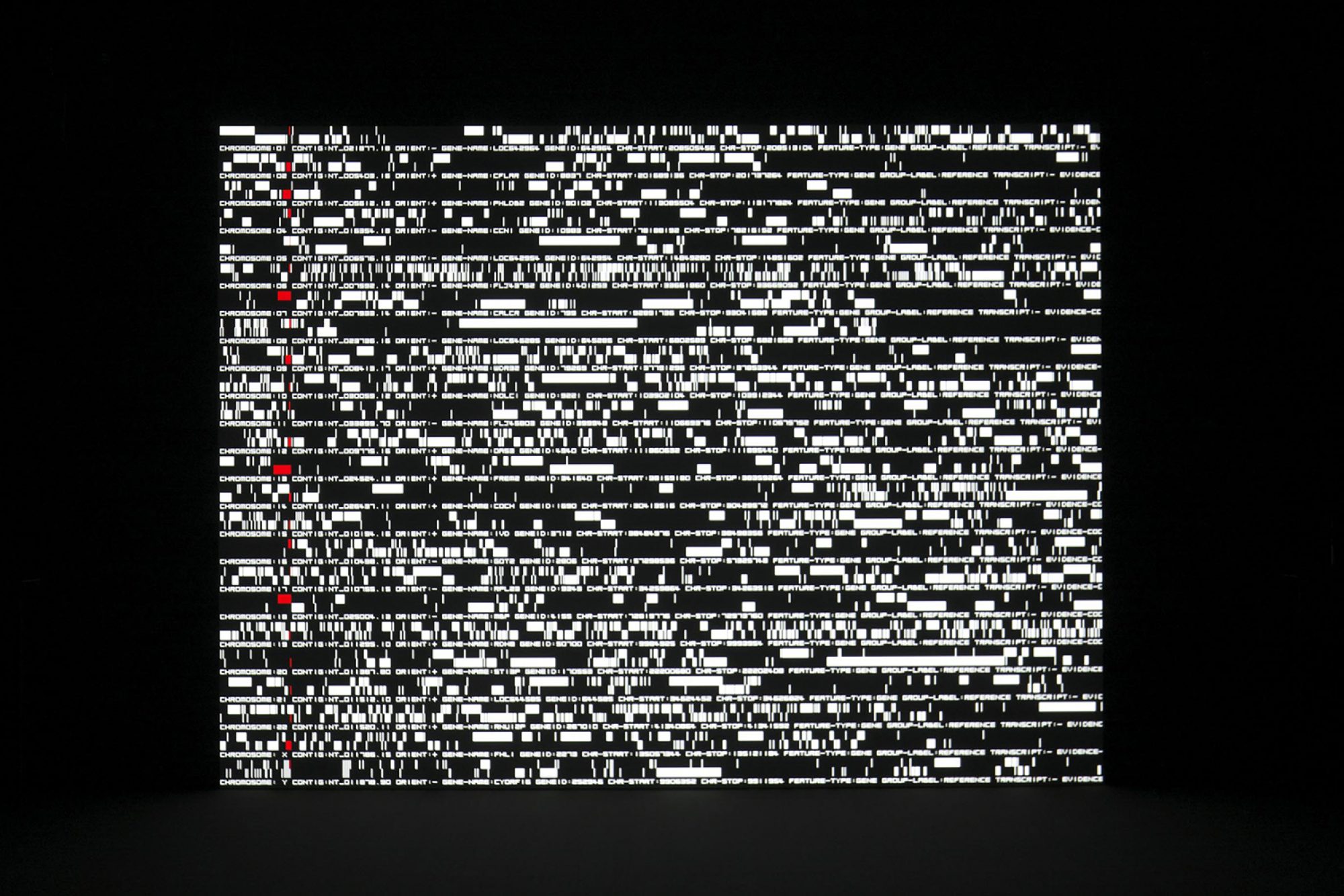 Data.matics